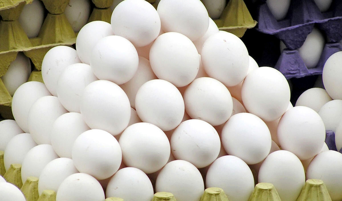 قیمت تخم مرغ در بازار چند؟