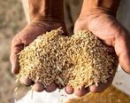 قیمت نان به کجا رسید؟| خبر جدید درباره قیمت نان 