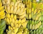 سوء استفاده وارد کنندگان از دلار 40 هزار تومانی | قیمت موز دوباره گران شد
