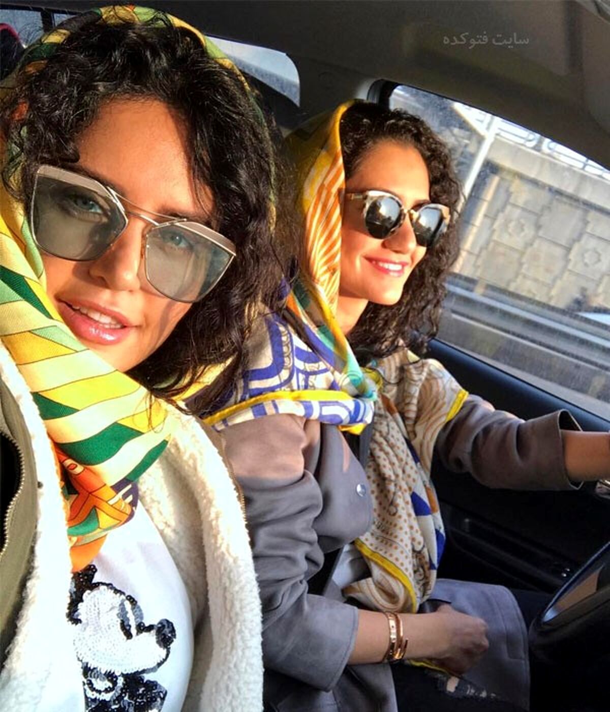ماجرای جالب گربه الناز شاکردوست / تصویر جنجالی 