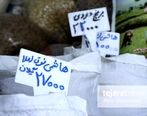 قیمت برنج ایرانی سر به فلک کشید