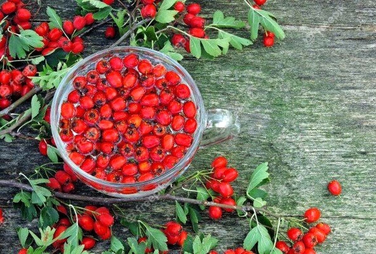 عفونت ریه را با این میوه خورنگ درمان کنید