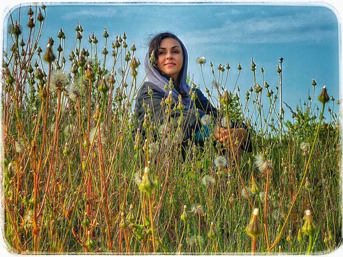 بیوگرافی شیوا ابراهیمی 