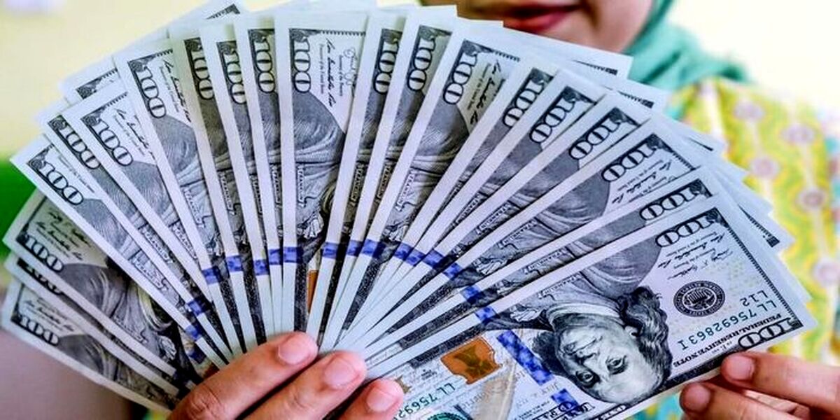 قیمت دلار و یورو در بازار امروز (۱۴۰۰/۰۳/۲۲) / قیمت دلار اوج گرفت