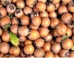 آلزایمر نمی گیرید اگر این میوه را بخورید
