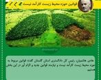 باید قانون محیط زیست را تغییر دهیم 