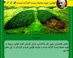 باید قانون محیط زیست را تغییر دهیم 