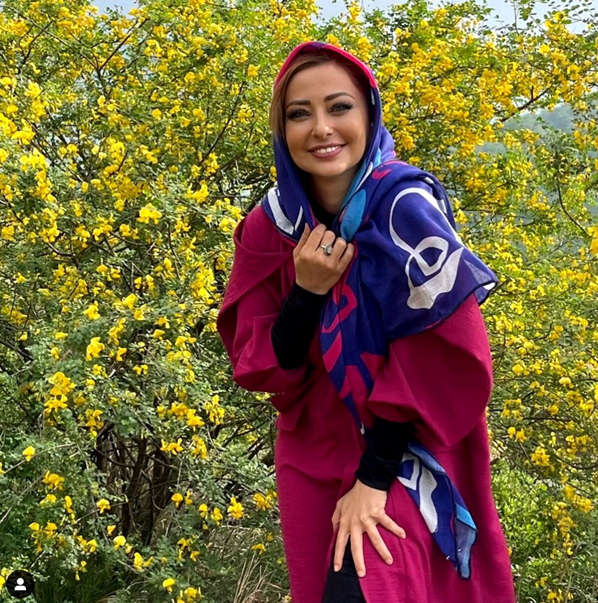حواشی ادامه دار «نفیسه روشن»؛ استوری بی ادبانه او خطاب به یک سینماگر!