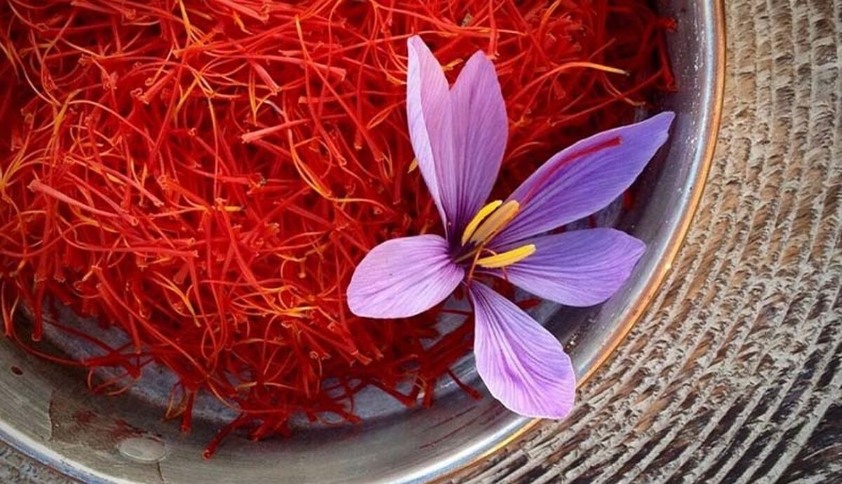 قیمت زعفران سر به فلک کشید
