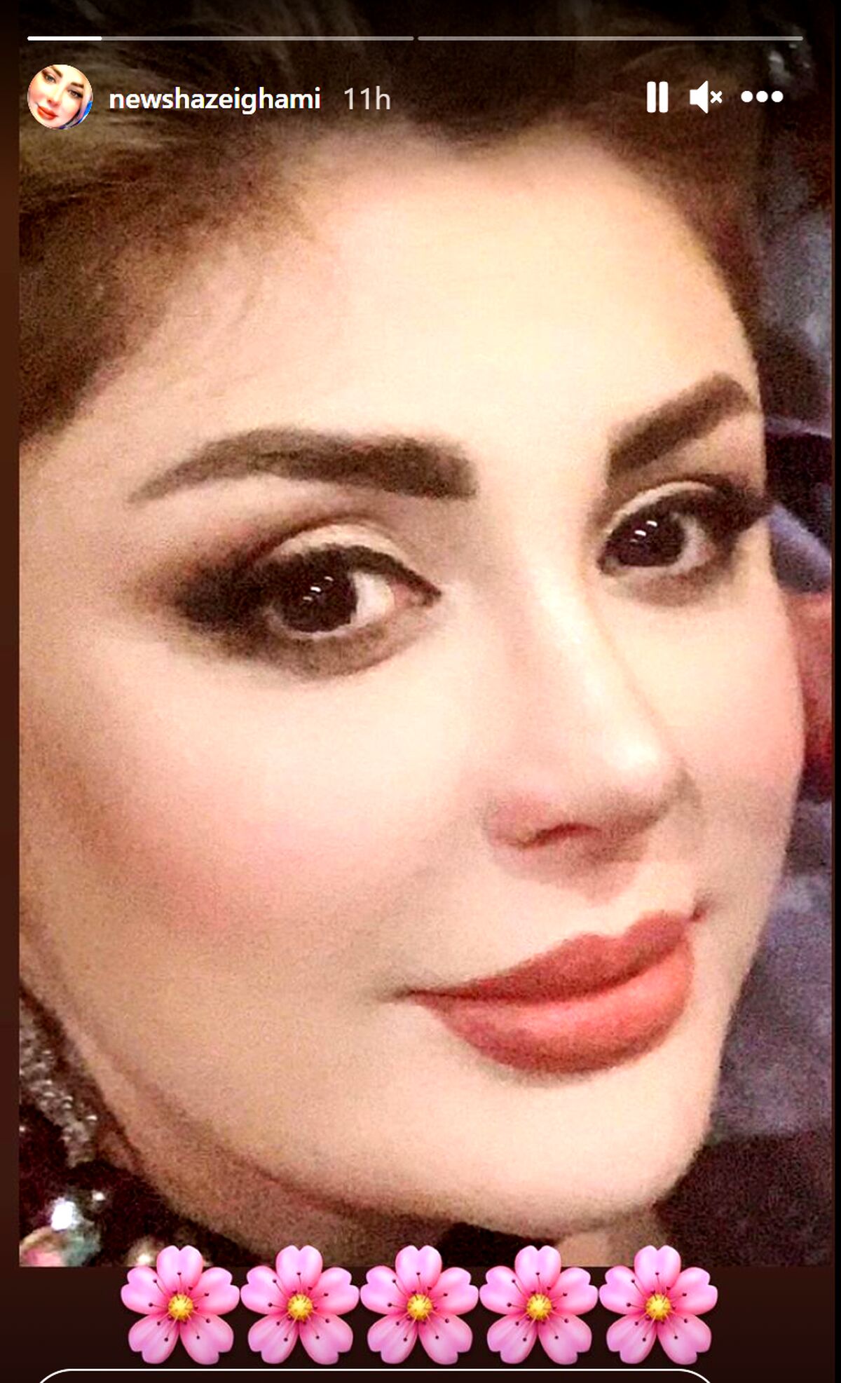 زندگینامه نیوشا ضیغمی