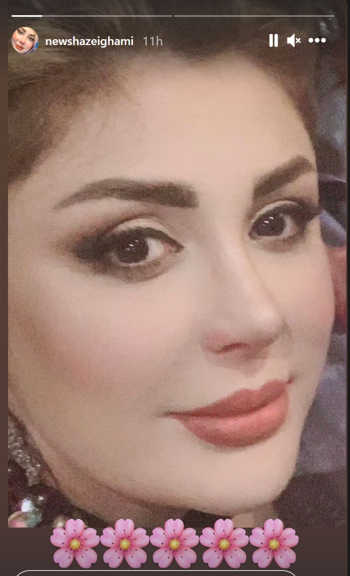 زندگینامه نیوشا ضیغمی