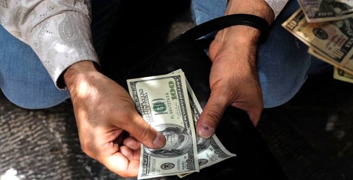 قیمت دلار افزایشی شد / قیمت دلار امروز 24 مرداد 