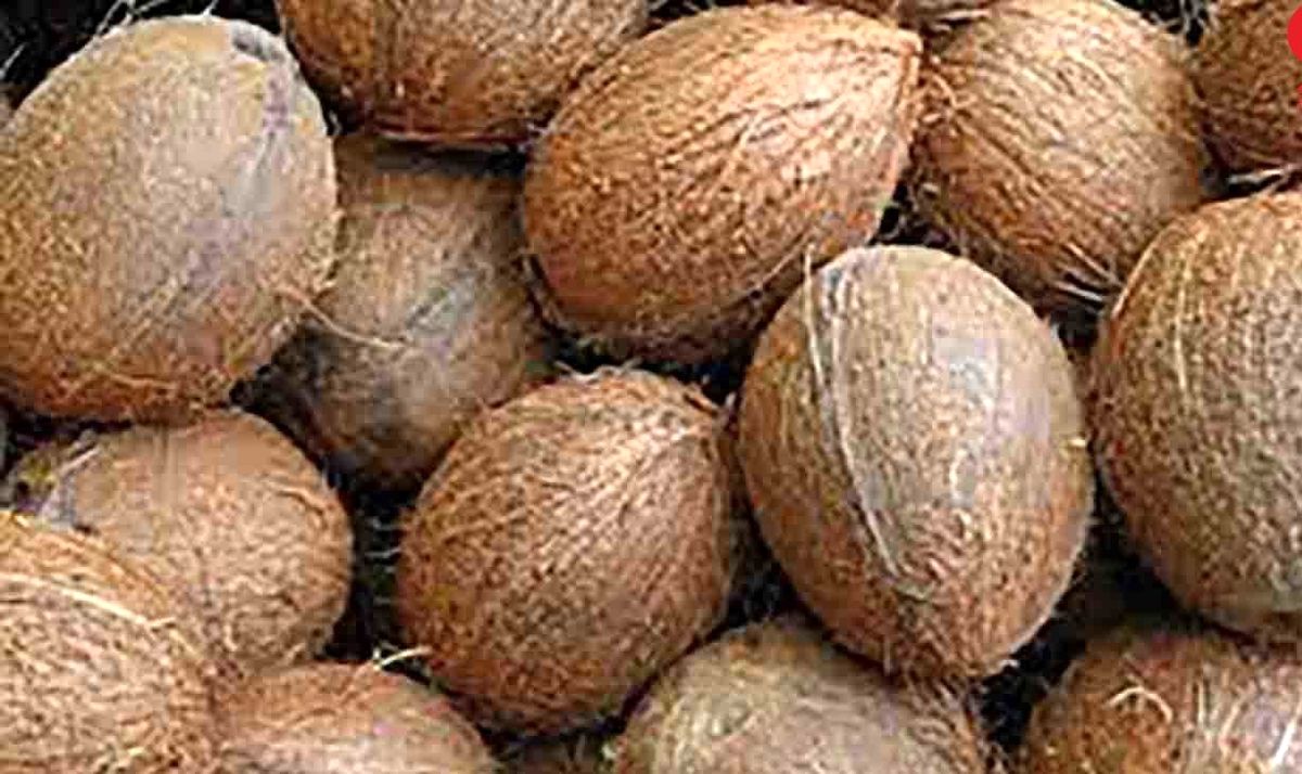 اینفگرافی میوه های چاق کننده