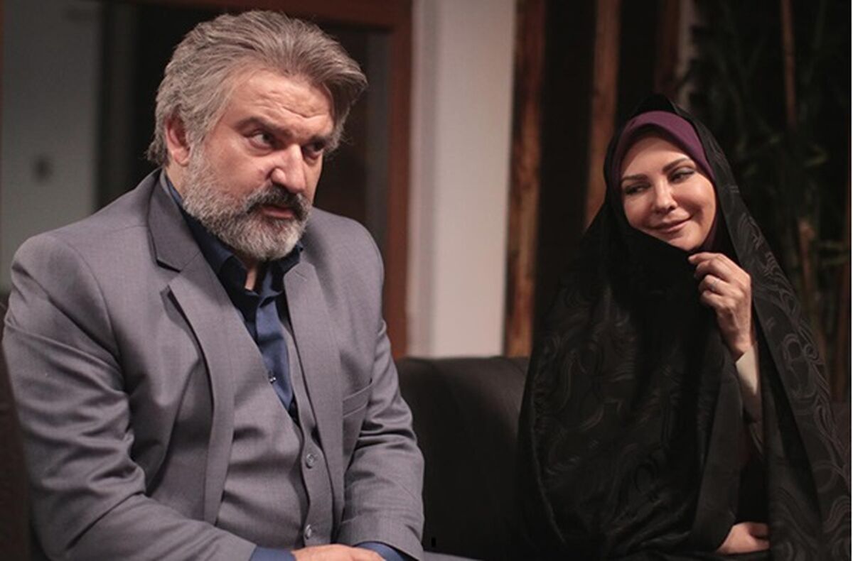 فعالیت بازیگری مهدی سلطانی