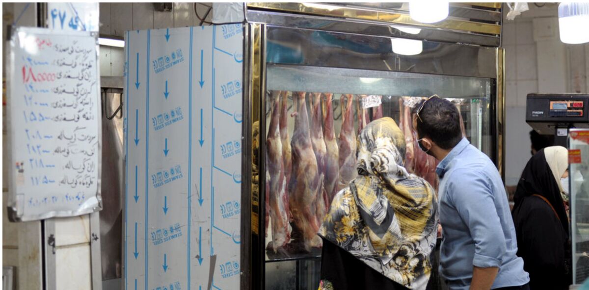 عرضه گوشت در کف 8 ماه | رمزگشایی از گرانی گوشت قرمز 