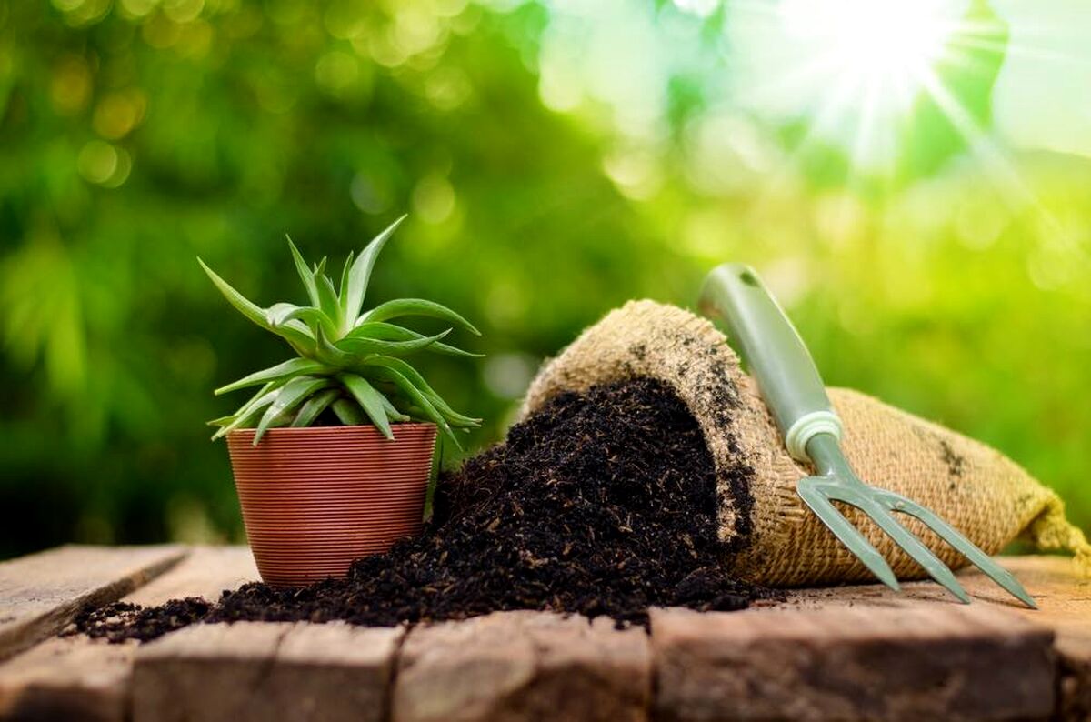 کود آلی چیست؟ راهنمای کامل + قیمت