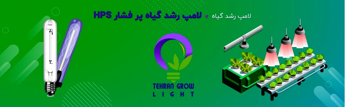 آیا لامپ رشد گیاه پر فشار HPS برای رشد و نمو گیاهان اثر می گذارد؟