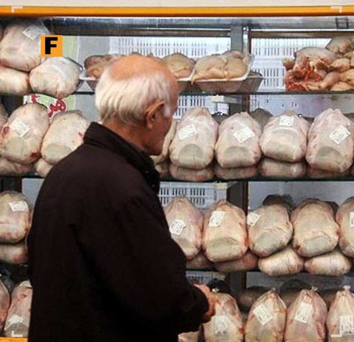 قیمت مرغ در بازار امروز 16 مرداد ماه 