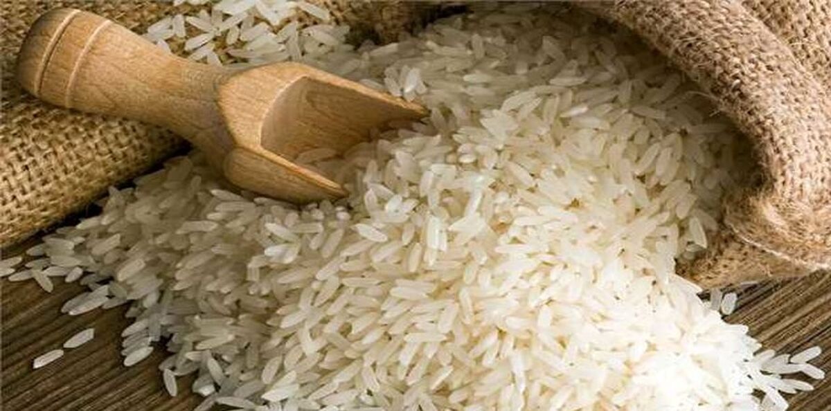 قیمت برنج بلاخره ارزان شد | مردم می‌توانند راحت برنج بخرند!