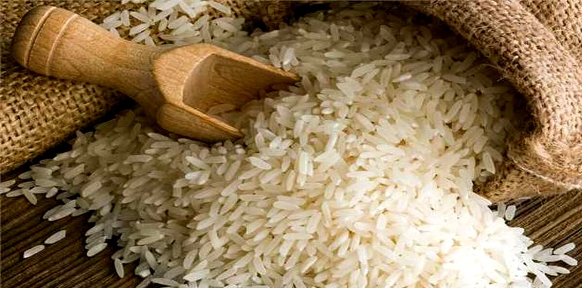 قیمت برنج مصوب اعلام شد| عرضه برن 12 هزار تومانی