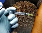 راه‌کارهای جلوگیری از HPV که باید بدانید