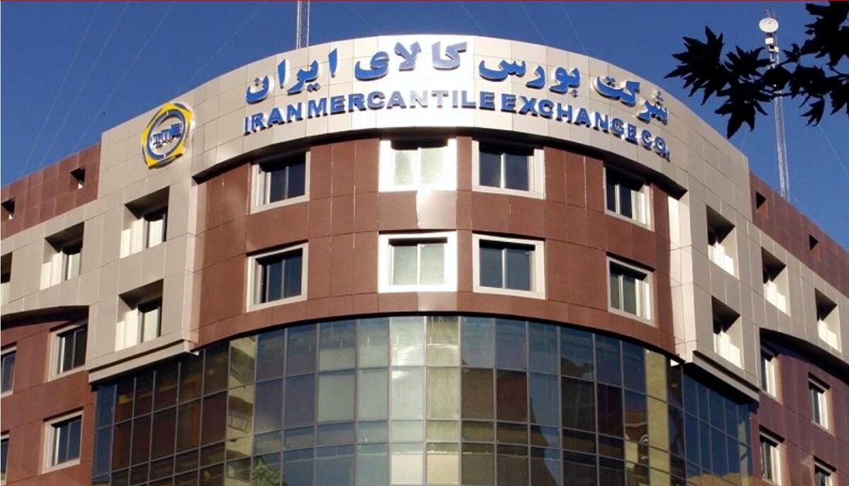  قیمت 207 چقدر است؟ | آغاز عرضه 207 در بورس کالا
