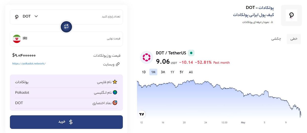 آموزش خرید و نگهداری ارز پولکادات