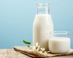 شیر برای کرونا/ چربی شیر بخوریم یا نخوریم