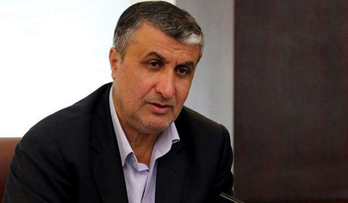 رئیس سازمان انرژی اتمی کشور از روند ساخت و پیشرفت نیروگاه اتمی بوشهر بازدید کرد
