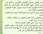 مهاجرت