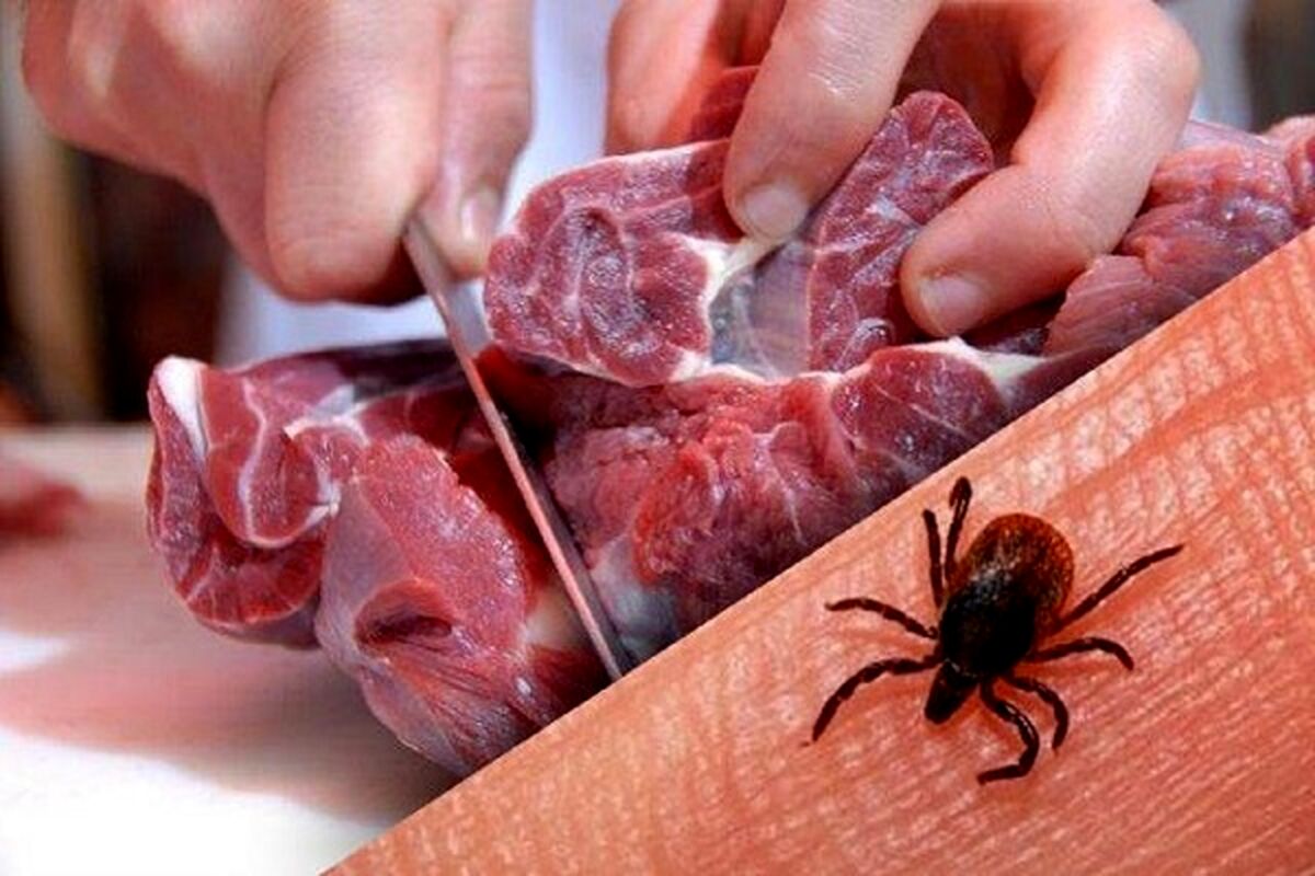 تب کریمه کنگو بار دیگر در حال گسترش!| قربانی گرفت
