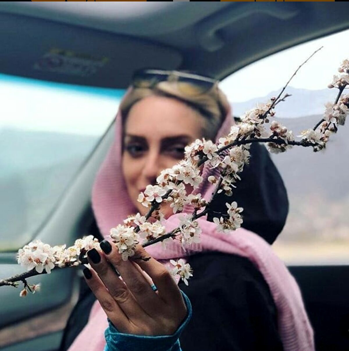 بیوگرافی نهال دشتی و همسرش