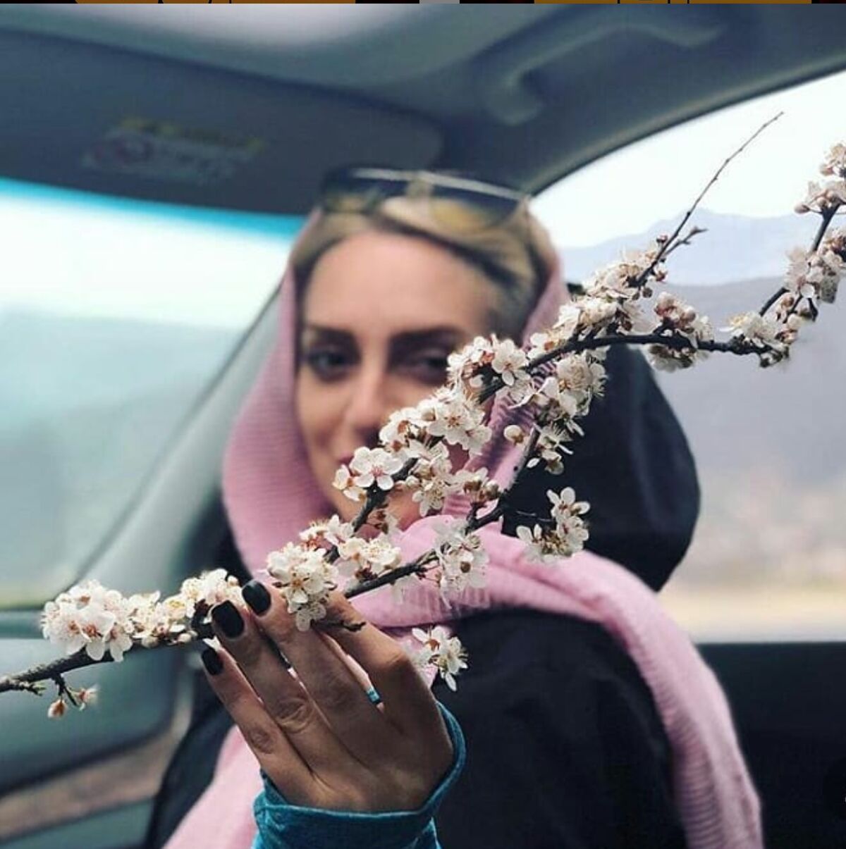 بیوگرافی نهال دشتی و همسرش