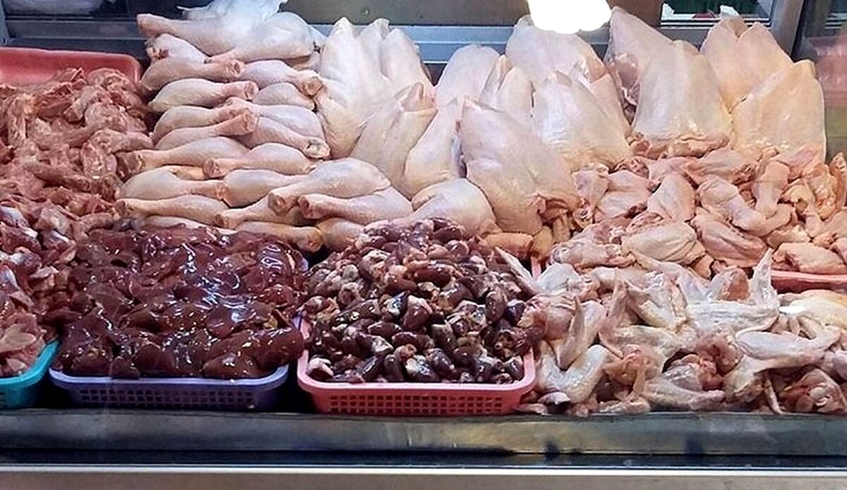 قیمت مرغ  روند صعودی گرفت| قیمت مرغ و گوشت رکورد شکست