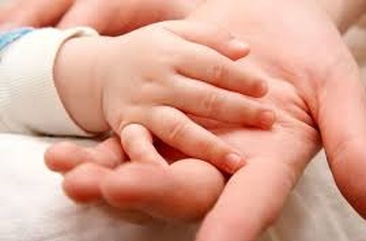 پیشنهاد ویژه رحم اجاره ای در کمیسیون جمعیت مجلس+ جزئیات
