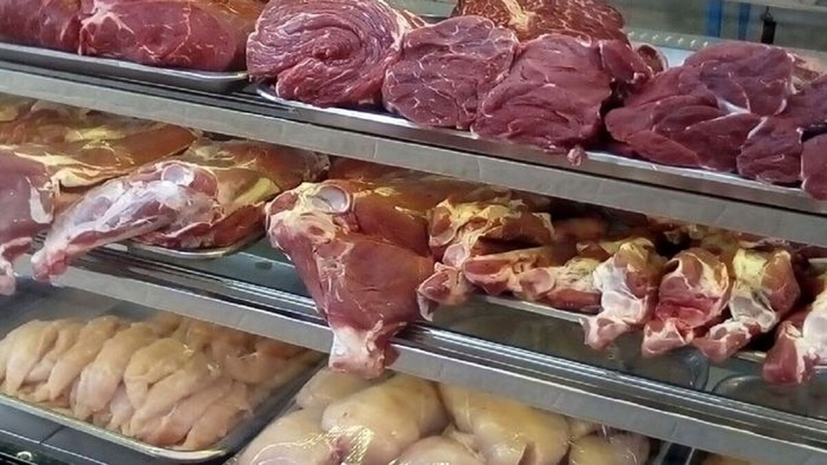 قیمت مرغ و گوشت نصف شد | کاهش شدید قیمت مرغ و گوشت | آخرین قیمت مرغ و گوشت