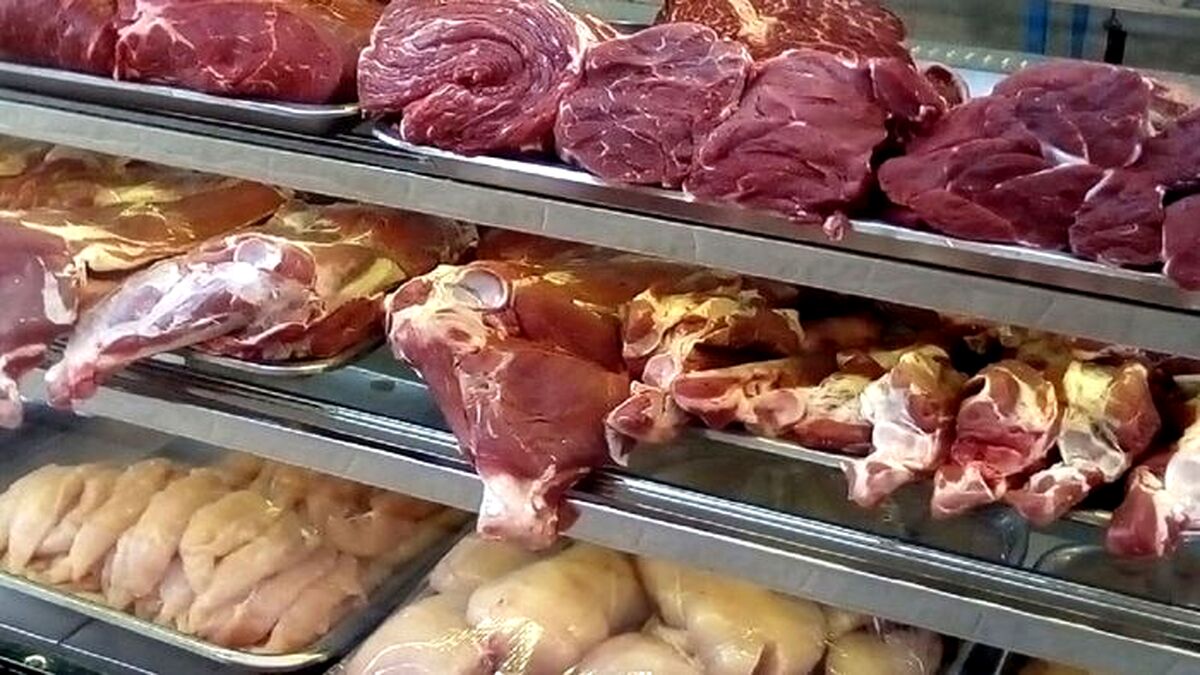 قیمت مرغ و گوشت نصف شد | کاهش شدید قیمت مرغ و گوشت | آخرین قیمت مرغ و گوشت