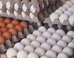 عرضه تخم مرغ اینترنتی+ جزئیات