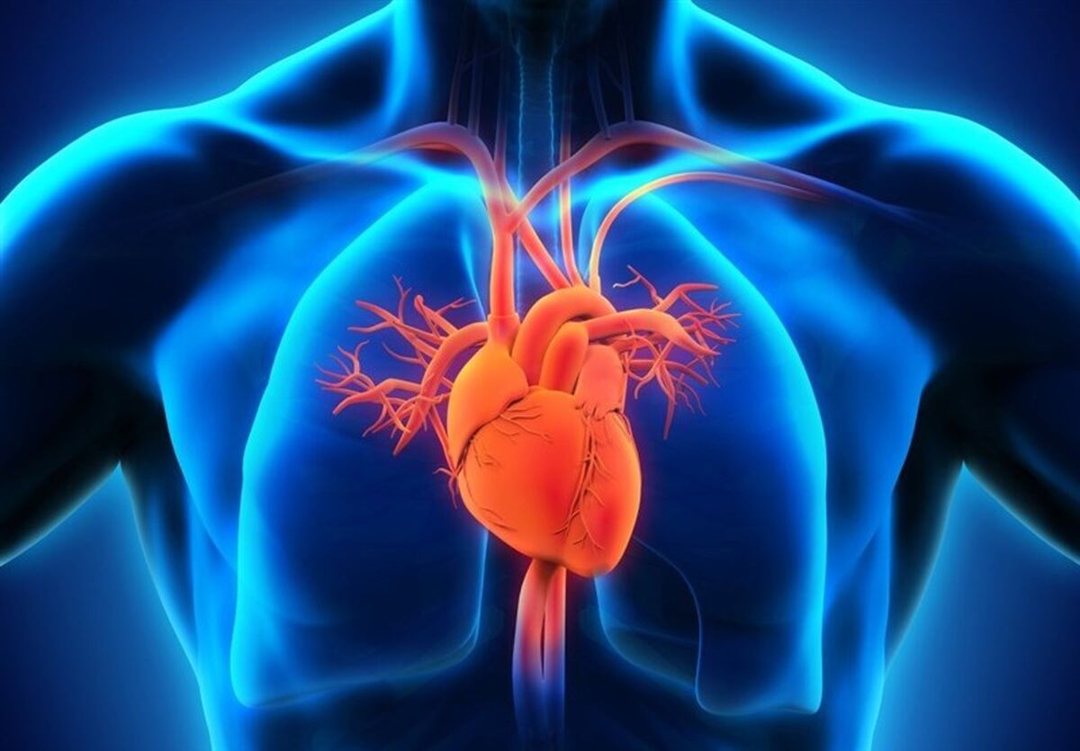 ۱۰ خوراکی مفید برای سلامت قلب آقایان