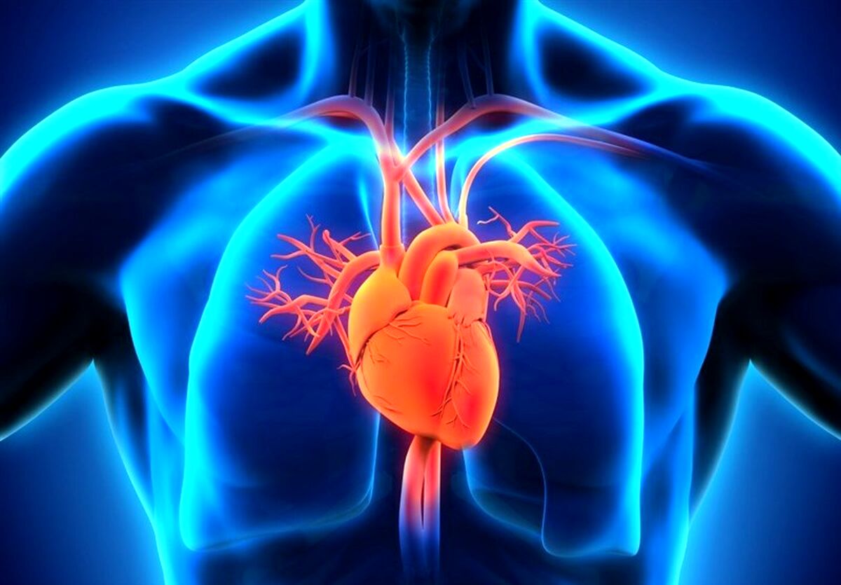 ۱۰ خوراکی مفید برای سلامت قلب آقایان