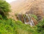 درمان مشکلات معده با دم کرده معجره آسا
