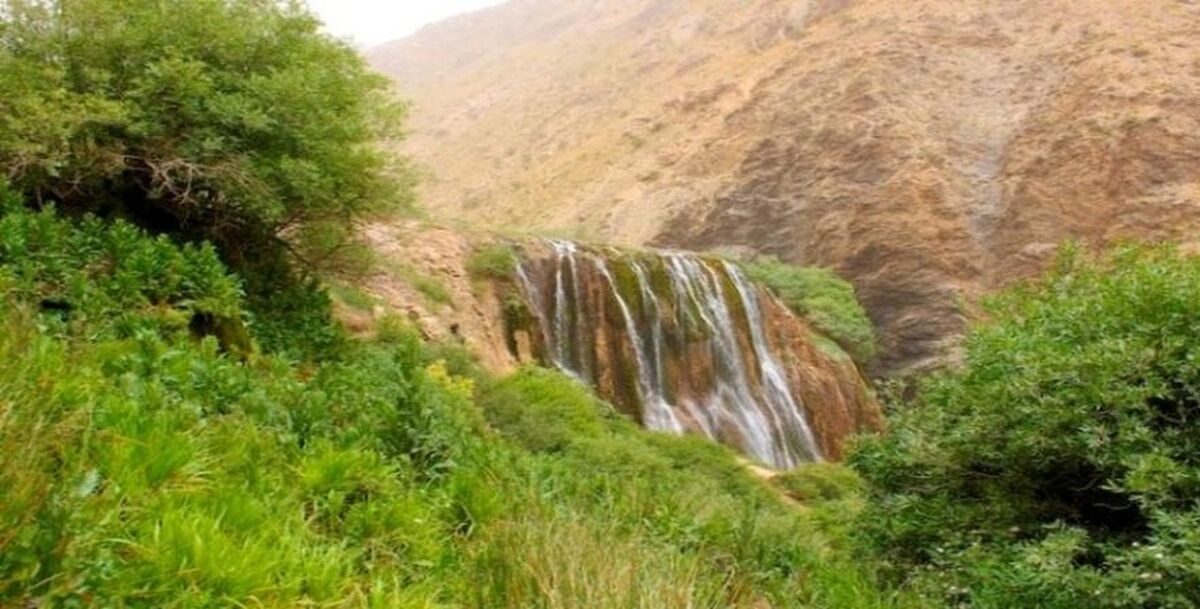 درمان مشکلات معده با دم کرده معجره آسا