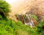 درمان مشکلات معده با دم کرده معجره آسا