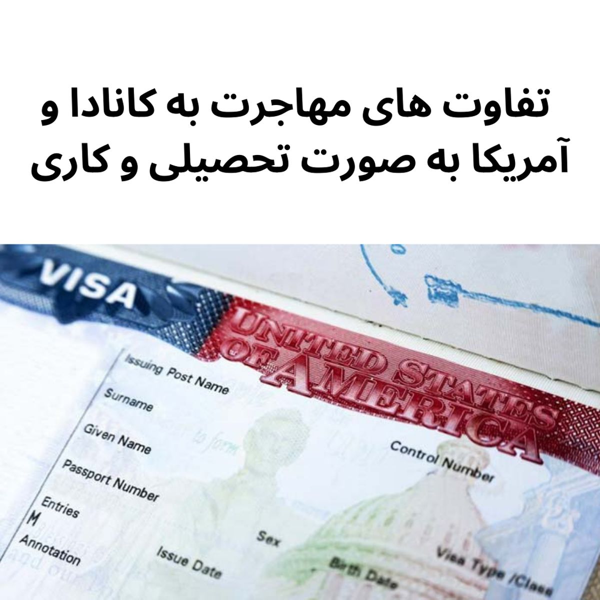 تفاوت های مهاجرت به کانادا و آمریکا به صورت تحصیلی و کاری

