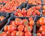 صادرات گوجه کیلویی 170 تومان به سوریه