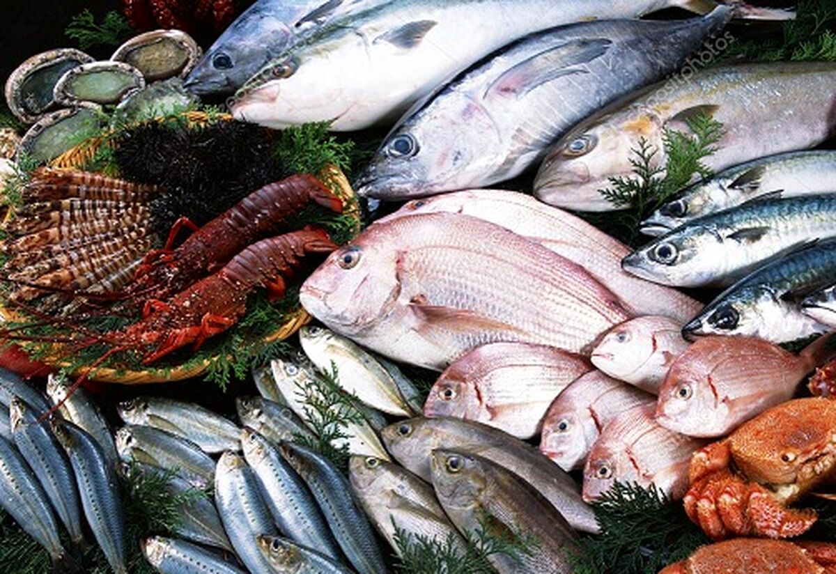 قیمت باور نکردنی ماهی در شب یلدا + جزئیات 