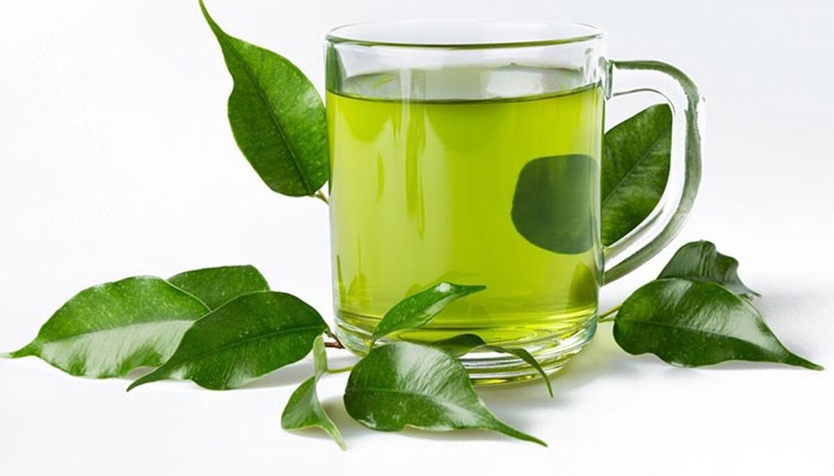 درباره عصاره چای سبز و هفت گیاه چه می دانید؟