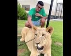 فیلم لاکچری بازی سعید عزت اللهی با شیر وحشی!| سعید عزت‌اللهی کنار یک شیر وحشی!