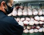 قیمت مرغ امروز چقدر شد ؟ | خرید مرغ زیر نرخ مصوب 