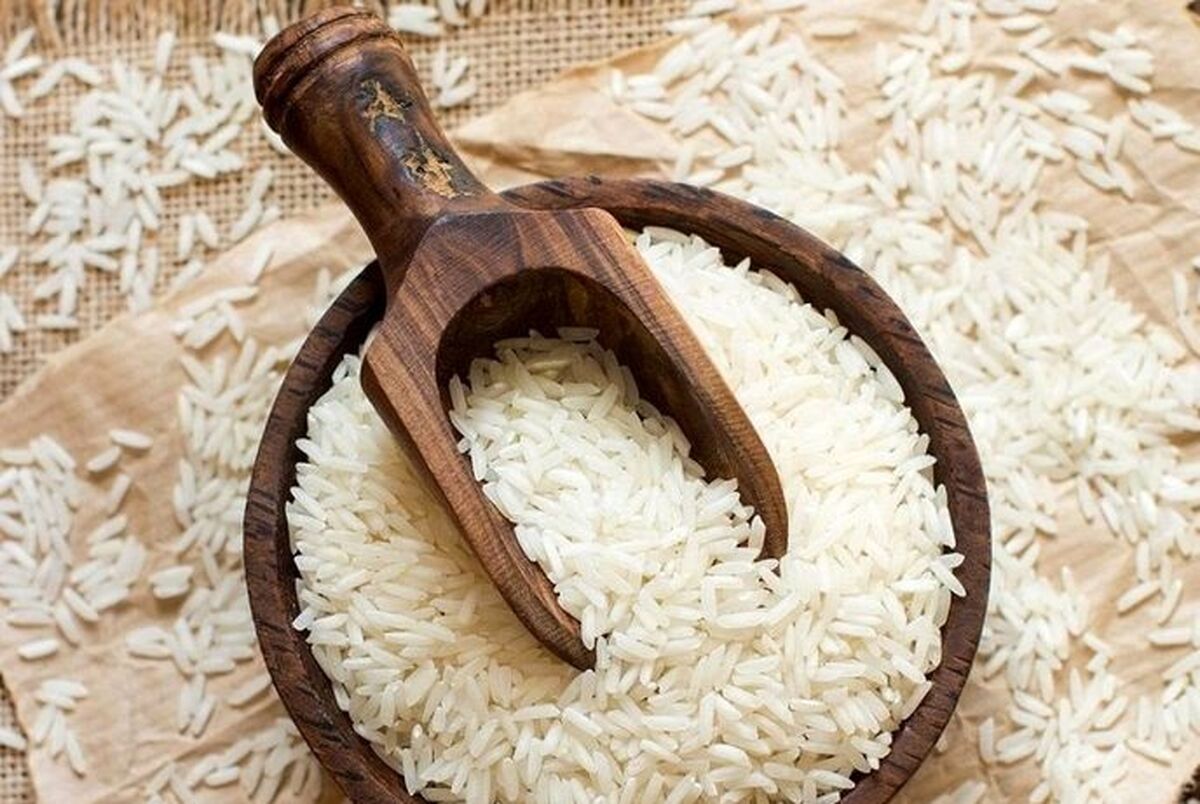عده ای نان خود را در غم مردم می‌زنند | آشفتگی بازار برنج و قصه طولانی نفوذ دلالان 